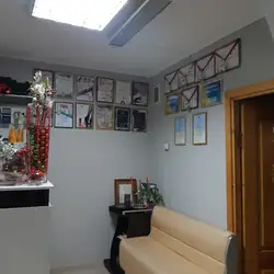 Модна Пані