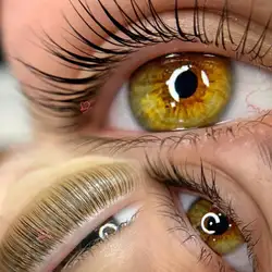 Lashes beauty