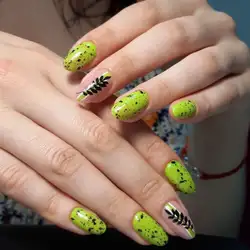 Lash&Beauty Studio