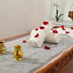 Аюрведа
