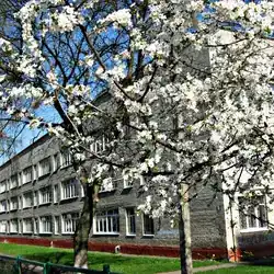 Secondary school №38 — Львів