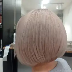 Silky Style