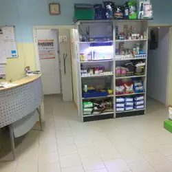 Ветклініка DeusVet