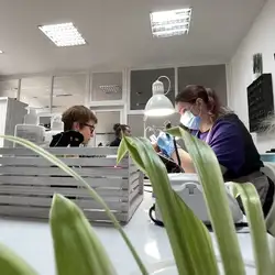 Kristi Nail Studio — Харків