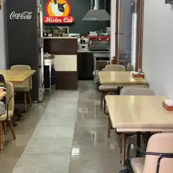 Mister Cat — Київ