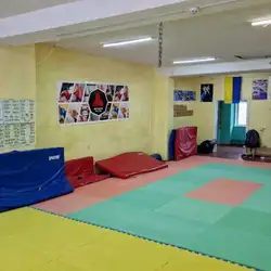 Міксфайтер - Костянтина Данькевича