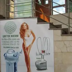Квітка життя