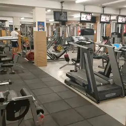 Body Flex