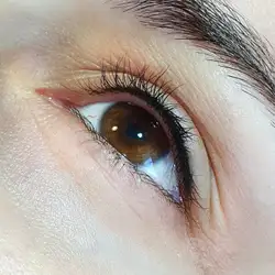 Аліна Залевська