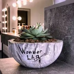 Wonder lab