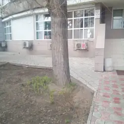 Ноілс — Дніпро