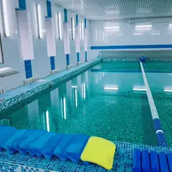 Акула