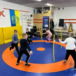 Фенікс