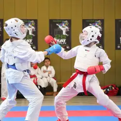 Karate Club Union - Винники — Винники