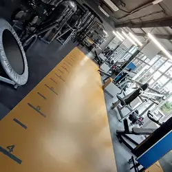 Hammer