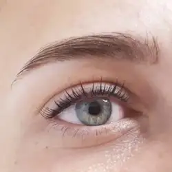 Brow Bar Litca
