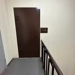 Нінель — Київ