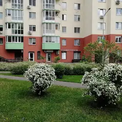 Стоматологія Мрія Dent — Киев