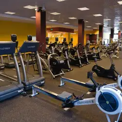 GOLD GYM