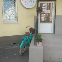 Клініка Лама Лу - Київ, Бальзака