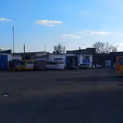 АЛЬМА МАТЕР