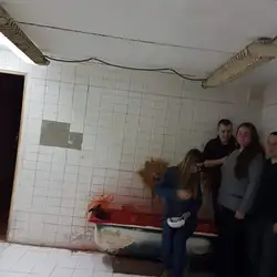Квест з акторами Phobia