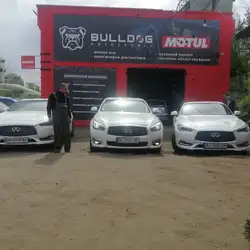 Bulldog Service (Бульдог Сервіс)