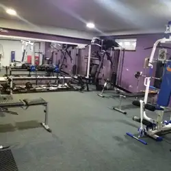 Pitbull Fight-club