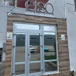 ELSO