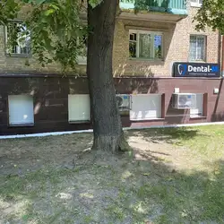 Dental - M