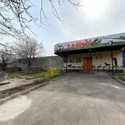 Тайга