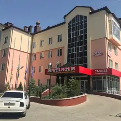 Шведсько-українська клініка Angelholm - Руська