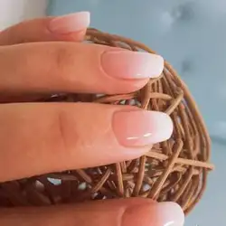 Macaron