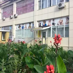 Едельвейс