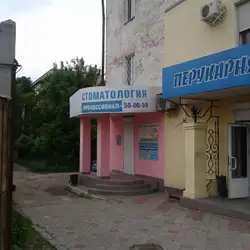 Професіонал