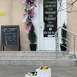 Генератор Краси