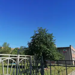 НВК Арніка — Львів