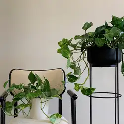 Like Laque Studio — Київ