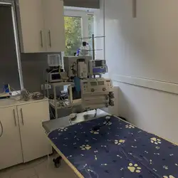 Ветеринарна клініка L'VET