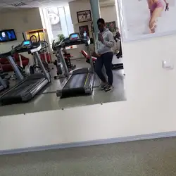Мова Тіла