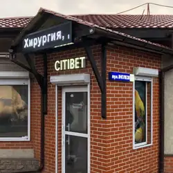 СітіВет