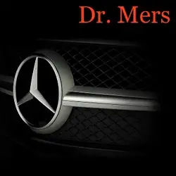 СТО Dr.Mers
