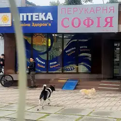 Салон зачісок