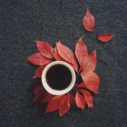Mishki Coffee — Київ