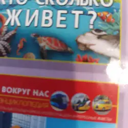 Студія краси Verona