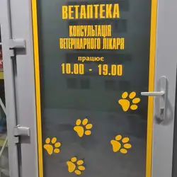 Кіт Василій