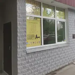 Коріфей