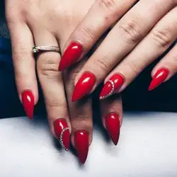 Семенових Єлизавета