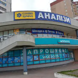 Сінево - Київ, Миколи Бажана