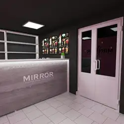 Mirror